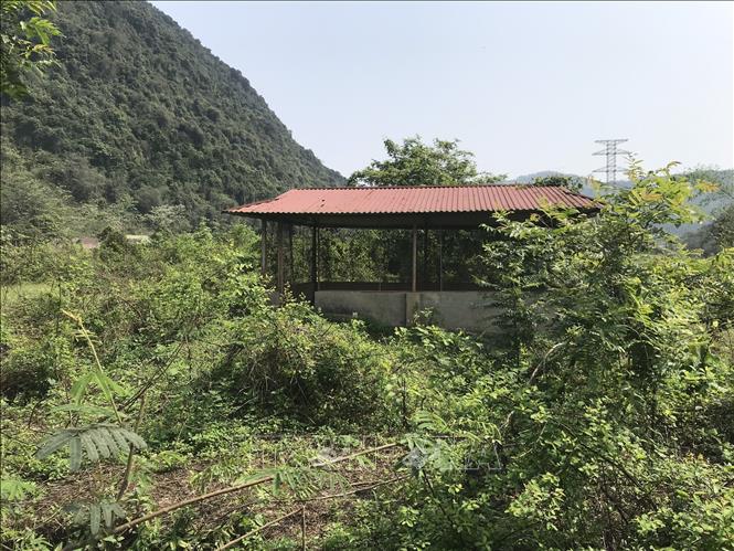Trong ảnh: Di tích lịch sử - khảo cổ học cấp quốc gia Hoàng thành Yên Bái rơi vào cảnh hoang hóa. Ảnh: TTXVN phát