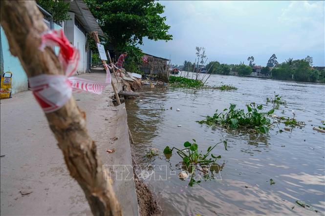 Điểm sạt lở dài khoảng 40m, ăn sâu vào bờ hơn 10m, nhấn chìm 4 căn nhà xuống sông Ô Môn. Ảnh: Thanh Liêm - TTXVN