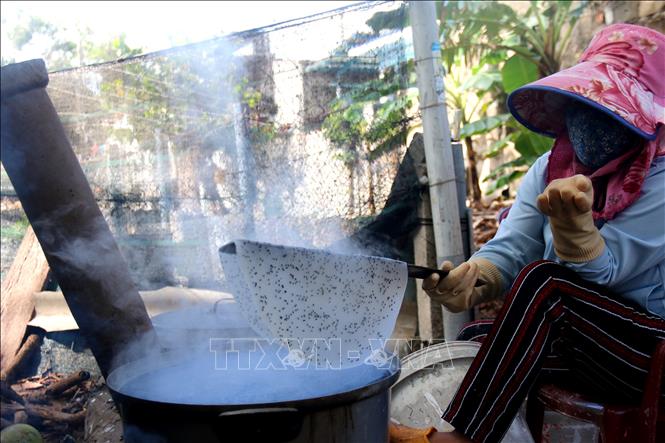 Trong ảnh: Chị Nguyễn Thị Thiện tại xã Ngũ Phụng (Phú Quý, Bình Thuận) tráng bánh tráng mì. Ảnh: Nguyễn Thanh - TTXVN