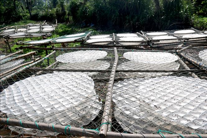 Trong ảnh: Phơi bánh tráng. Ảnh: Nguyễn Thanh - TTXVN