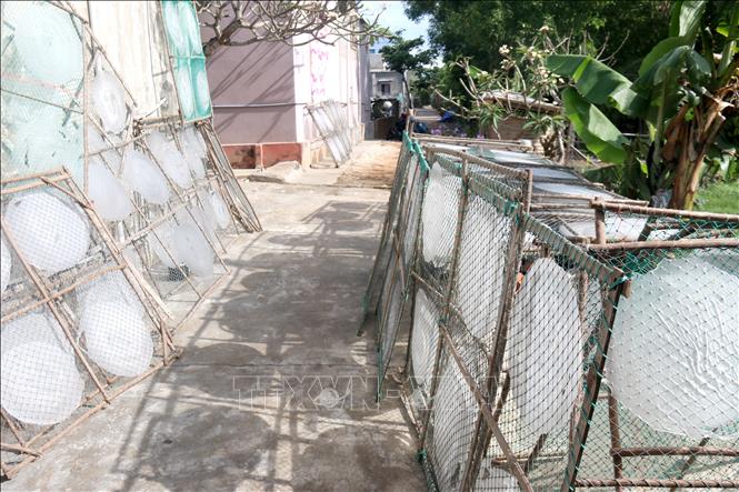 Trong ảnh: Người dân tận dụng mọi khoảng trống trên đảo để phơi bánh tráng. Ảnh: Nguyễn Thanh - TTXVN