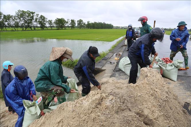 Người dân xã Hải quế, huyện Hải Lăng dầm mưa đắp đê để bảo vệ diện tích lúa đang kì trổ bông. Ảnh: Thanh Thủy-TTXVN