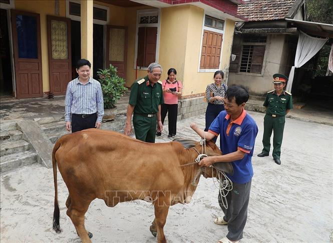 Đoàn công tác của Hội Hỗ trợ khắc phục hậu quả bom, mìn Việt Nam (VNASMA) phối hợp với Quỹ Hoa Hoà bình đến thăm hỏi, trao tặng bò giống và nhà ở cho các nạn nhân bom, mìn thuộc diện hộ nghèo và cận nghèo của tỉnh Quảng Bình. Ảnh: Lâm Khánh - TTXVN