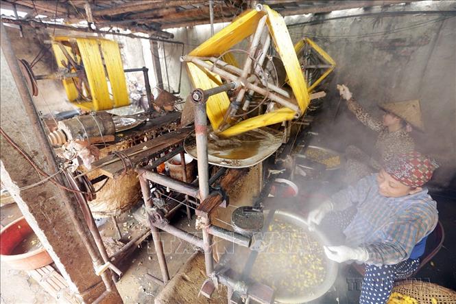 Gia đình chị Phạm Thị Quý, thôn Cổ Chất 2, xã Phương Định, huyện Nam Trực, tỉnh Nam Định vay vốn ưu đãi đầu tư làm nghề ươm tơ, sau 2 lần vay đầu tư phát triển sản xuất, gia đình cơ bản thoát nghèo. Ảnh: Trần Việt - TTXVN