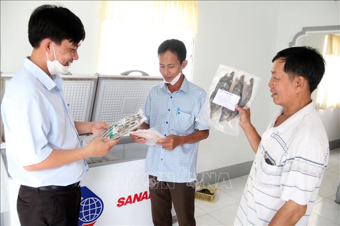 Trong ảnh: Chả cá và cá thát lát muối sả của Cơ sở Trung Kiên được đóng túi hút chân không, có thể bảo quản đến 6 tháng. Ảnh: Lê Sen – TTXVN