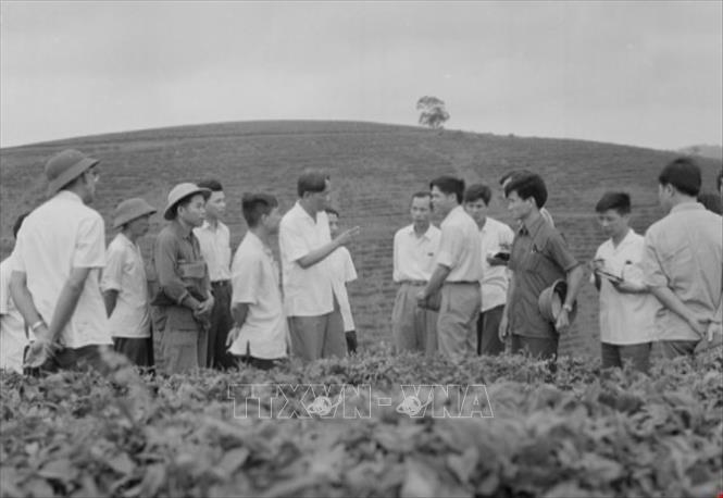 Tổng Bí thư Lê Duẩn thăm đồi chè của HTX Tiên Phú, Phù Ninh, Vĩnh Phú (1977). Ảnh: Văn Bảo - TTXVN