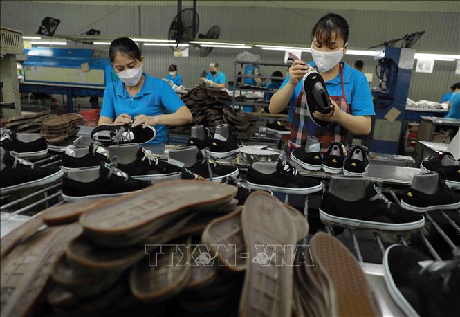 Trong ảnh: Dây chuyền sản xuất giầy xuất khẩu tại nhà máy của Công ty. Ảnh: Vũ Sinh - TTXVN