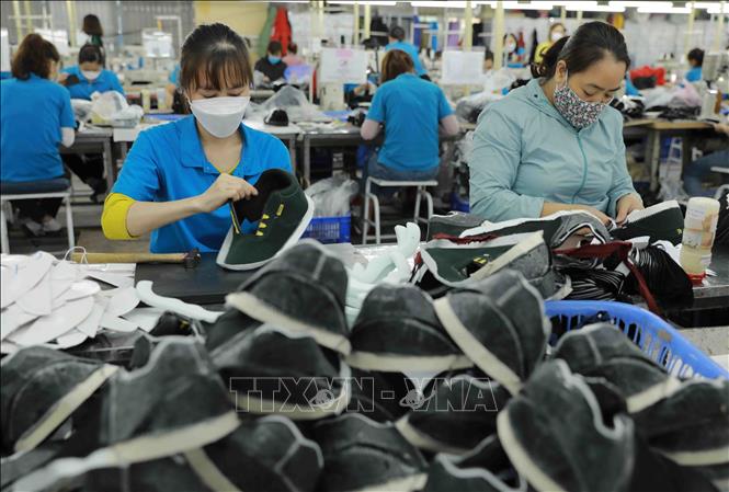 Trong ảnh: Kiểm tra chất lượng mũi giầy trước khi đưa vào sản xuất. Ảnh: Vũ Sinh - TTXVN