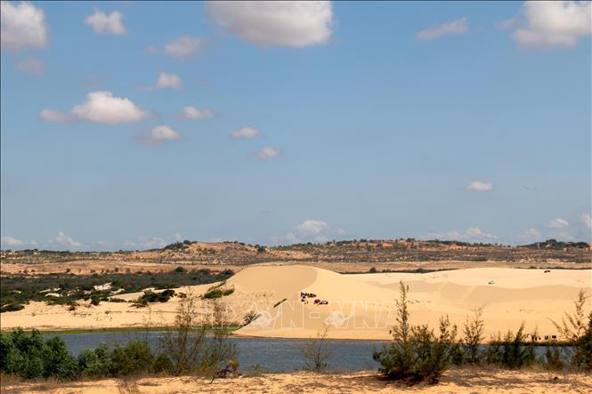 Photo: The primitive landscape of Bau Trang sand dunes in Bac Binh district. VNA Photo: Nguyễn Thanh