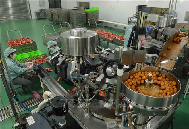 Dây chuyền đóng gói trứng gà ăn liền tại nhà máy của Tập đoàn DABACO. Ảnh: Vũ Sinh - TTXVN
