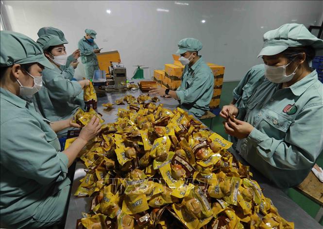 Hoàn thiện, đóng gói sản phẩm trứng gà ăn liền 