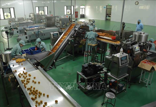 Dây chuyền đóng gói trứng gà ăn liền tại nhà máy của Tập đoàn DABACO. Ảnh: Vũ Sinh - TTXVN