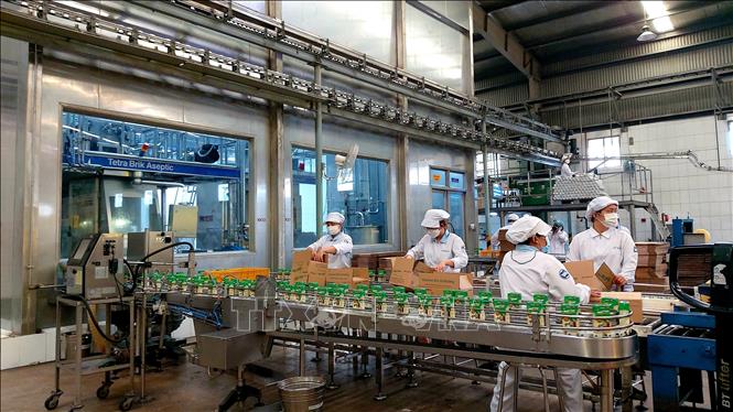 Trong ảnh: Vinamilk đầu tư trang thiết bị, công nghệ hiện đại và hệ thống trang trại-nhà máy, đạt các tiêu chuẩn quốc tế như FDA, Organic…Ảnh: Thu Hiền - TTXVN
