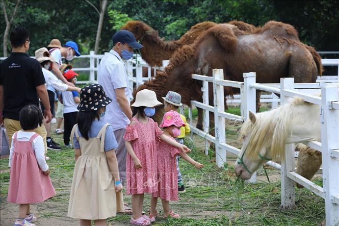 Top 5 Nông trại động vật siêu xinh ở TP Đà Lạt Lâm Đồng  toplistvn