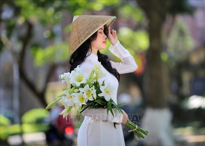 Tháng 4 Hà Nội, mùa hoa loa kèn xuống phố - Ảnh thời sự trong nước ...