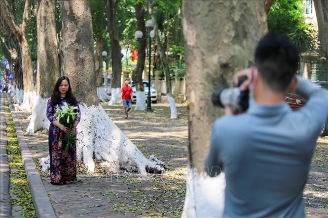 Người dân Thủ đô chụp ảnh với hoa loa kèn. Ảnh: Tuấn Đức - TTXVN