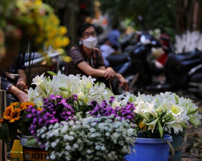 Tại phố Phan Đình Phùng có dịch vụ thuê hoa để chụp ảnh. Ảnh: Tuấn Đức - TTXVN