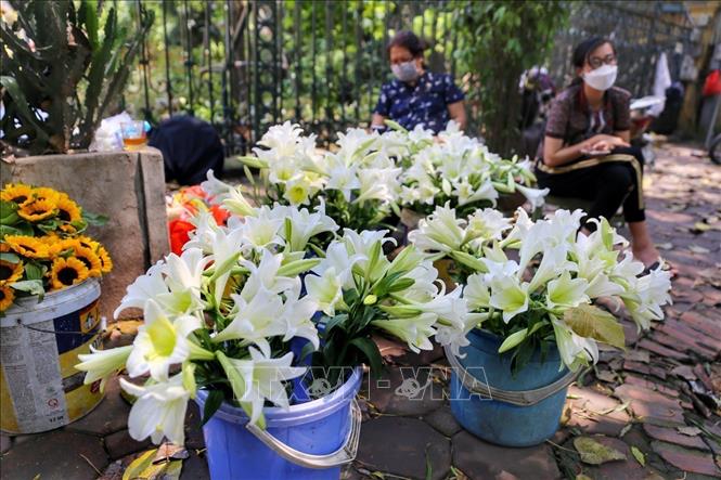 Những bó hoa loa kèn nở rộ sẵn sàng phục vụ du khách trên phố Phan Đình Phùng. Ảnh: Tuấn Đức - TTXVN