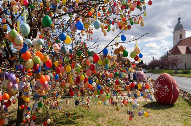 Trong ảnh: Trang trí trứng Phục Sinh trên cây tại Kethely, Hungary, ngày 11/4/2022. Ảnh: THX/TTXVN