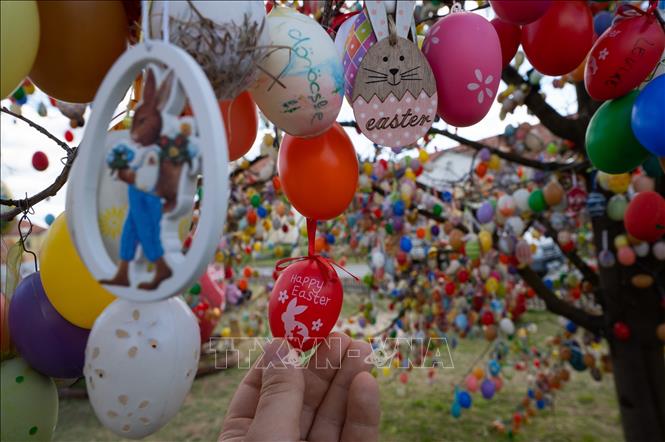 Trong ảnh: Trang trí trứng Phục Sinh trên cây tại Kethely, Hungary, ngày 11/4/2022. Ảnh: THX/TTXVN