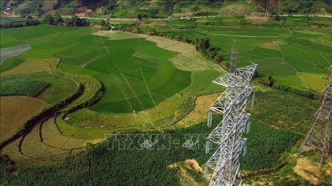 Thi công kéo dây trên tuyến trên địa bàn huyện Bảo Thắng. Ảnh: Huy Hùng – TTXVN
