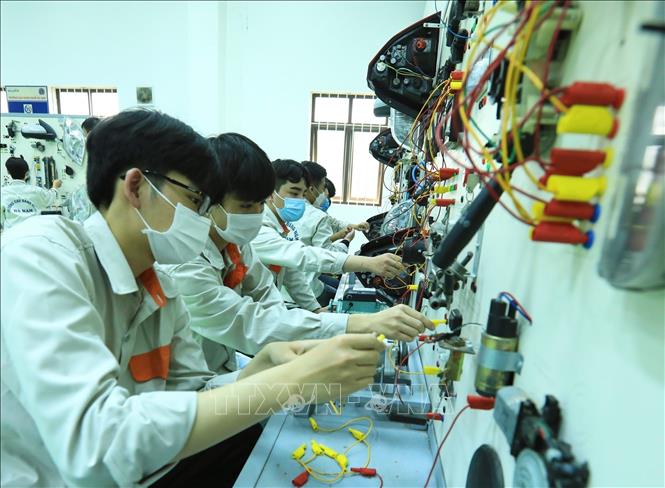 Trong ảnh: Sinh viên K13 (Khoa Công nghệ ô tô) thực hành sửa chữa, đấu nối các thiết bị điện. Ảnh: Hoàng Hiếu - TTXVN