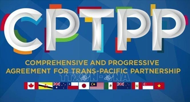 Hàn Quốc gia nhập CPTPP và quốc kỳ Brunei: Việc gia nhập CPTPP đã đem lại nhiều cơ hội mới cho Hàn Quốc, đồng thời cũng giúp quốc kỳ Brunei trở thành một biểu tượng quốc gia quan trọng trong hiệp định này. Đây là bước tiến rất quan trọng và đầy khát vọng của Hàn Quốc trong việc mở rộng thị trường và hợp tác kinh tế với các nước trong khu vực.