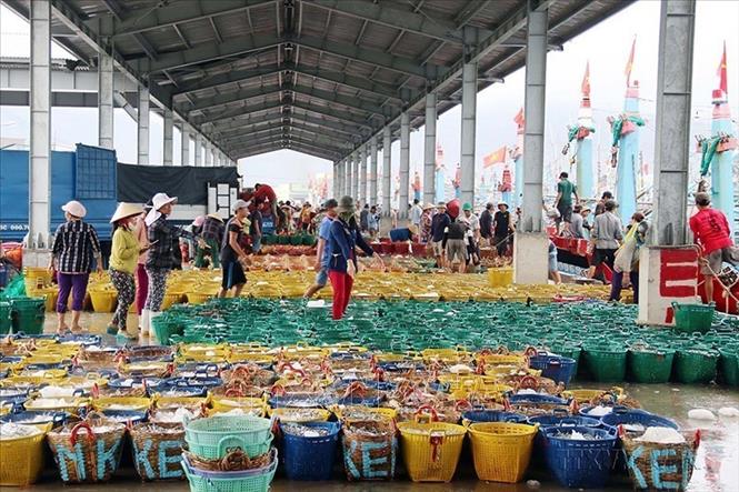 Ba năm gần đây, mặc dù đối diện với nhiều khó khăn do tác động của đại dịch COVID-19, nhưng tốc độ tăng trưởng GRDP của Ninh Thuận thuộc nhóm đứng đầu cả nước. Trong ảnh: Hoạt động mua bán tấp nập tại cảng cá Cà Ná, huyện Thuận Nam, tỉnh Ninh Thuận. Ảnh: Công Thử - TTXVN