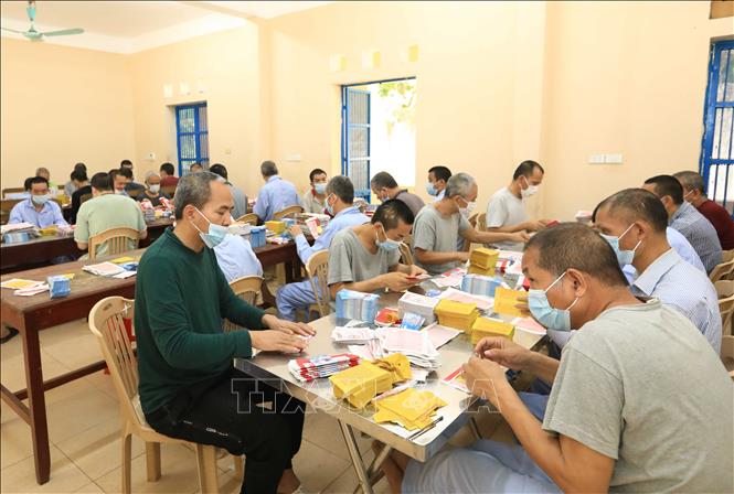 Trong ảnh: Trung tâm duy trì các hoạt động lao động trị liệu nhẹ mang tính chất trị liệu để các đối tượng tâm thần có phản xạ với lao động, chống rối nhiễu tâm trí, tăng cường sức khỏe. Ảnh: Hoàng Hiếu - TTXVN