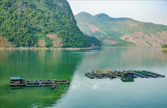 Trong ảnh: Lồng bè nuôi cá của người dân trên lòng hồ. Ảnh: Xuân Tư – TTXVN