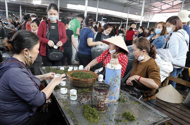 Trong ảnh: Một bàn pha thử chè. Ảnh: Trần Việt - TTXVN