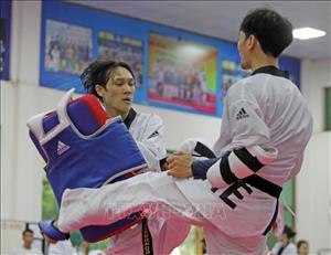 Vietnam’s Taekwondo targets top 3 at SEA Games 31