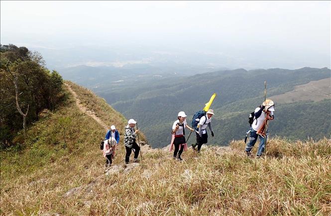 Trong ảnh: Đoàn leo núi du lịch trên hành trình lên đỉnh Phja Pò do Trung tâm Thông tin Xúc tiến Du lịch Lạng Sơn tổ chức. Ảnh: Anh Tuấn – TTXVN