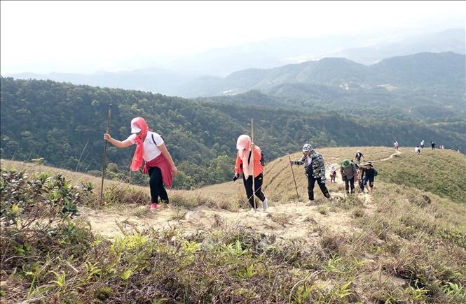 Trong ảnh: Đoàn leo núi du lịch trên hành trình lên đỉnh Phja Pò do Trung tâm Thông tin Xúc tiến Du lịch Lạng Sơn tổ chức. Ảnh: Anh Tuấn – TTXVN