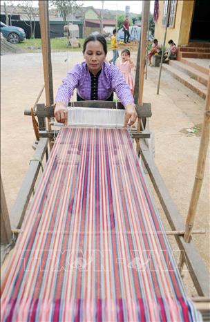 Trong ảnh: Phụ nữ dân tộc Thái ở bản Phiêng Tiến xã Phiêng Luông, huyện Mộc Châu (Sơn La) vẫn duy trì dệt, thêu may trang phục cho bản thân và gia đình. Ảnh: Quang Quyết-TTXVN