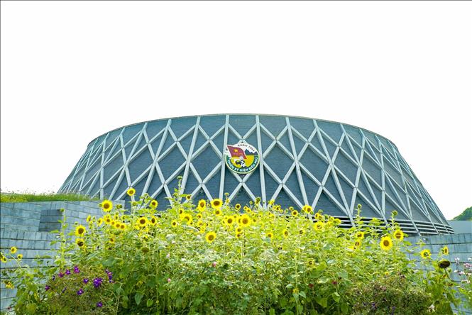 Hoa hướng dương bung nở trong khuôn viên Bảo tàng Chiến thắng lịch sử Điện Biên Phủ. Ảnh: Xuân Tư – TTXVN