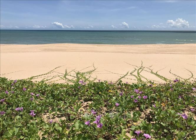 Bãi biển phường 7 thành phố Tuy Hòa nước trong xanh, có bãi cát vàng trải dài. Ảnh: Phạm Cường-TTXVN