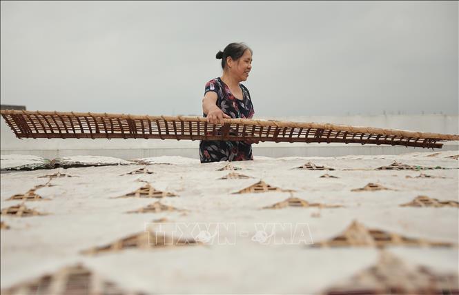 Xã Dĩnh Kế có hơn nửa số thôn làm bánh đa, trong đó bánh đa của làng Kế là nổi tiếng hơn cả bởi hương vị độc đáo và thơm ngon không giống với bất cứ nơi đâu. Ảnh: Danh Lam-TTXVN