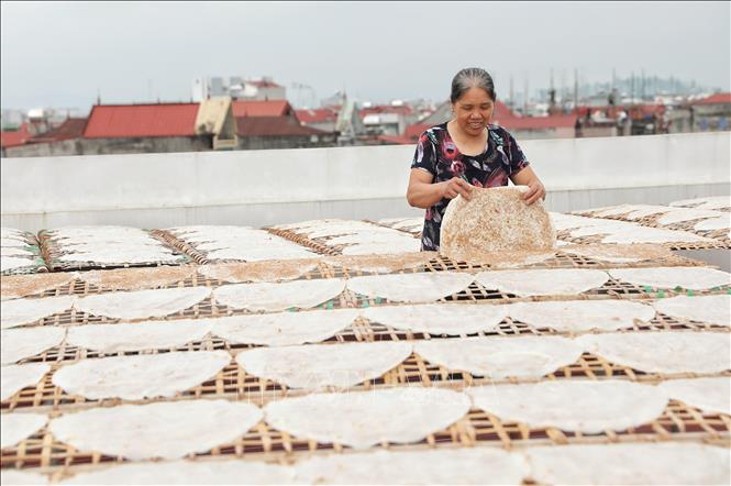 Trong thời gian phơi phải lật bánh để bánh khô, như vậy bánh mới giòn. Ảnh: Danh Lam-TTXVN