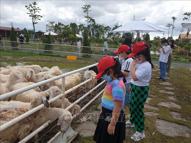 Tuy đơn giản nhưng phong cảnh thơ mộng làm du khách rất thích thú tìm đến để lưu những khoảnh khắc tuyệt vời nhất. Ảnh: Nhật Bình - TTXVN