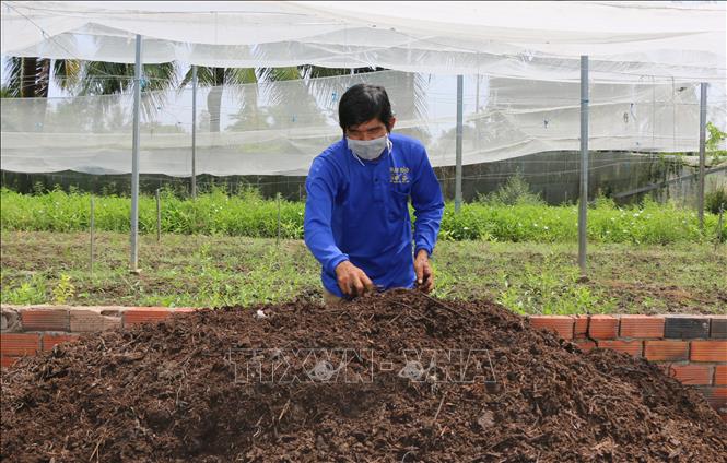 Trong ảnh: Nông dân tận dụng nguyên liệu sẵn có ở địa phương như rơm, lục bình, phân bò… để làm phân hữu cơ. Ảnh: Nhựt An - TTXVN
 