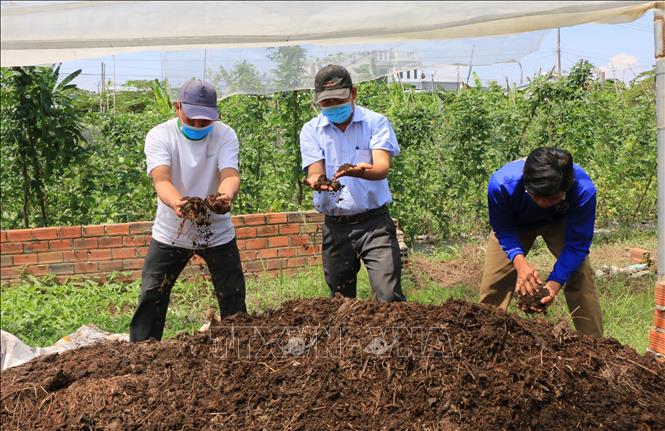 Trong ảnh: Thành viên Hợp tác xã sản xuất và tiêu thụ rau an toàn Long Thuận (huyện Hồng Ngự) đã tự ủ phân hữu cơ để bón cho các loại rau màu.. Ảnh: Nhựt An - TTXVN