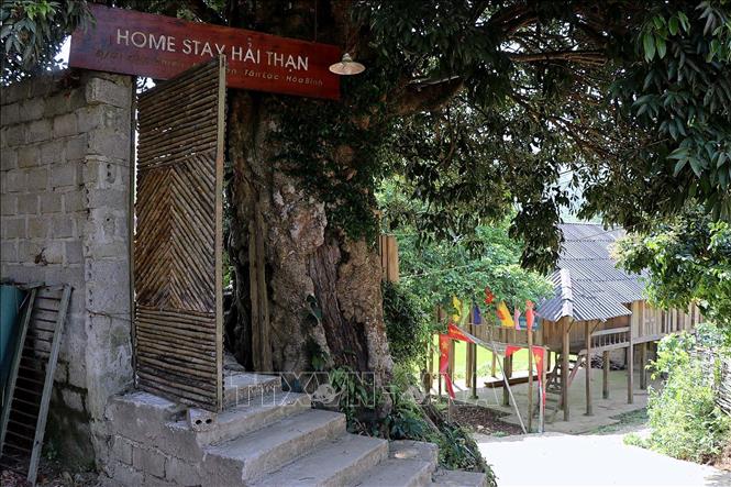 Trong ảnh: Homestay Hải Thạn, một trong ba hộ làm du lịch cộng đồng tại xã Vân Sơn, huyện Tân Lạc. Ảnh: Thanh Hải - TTXVN
