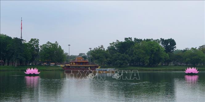 Trong ảnh: Hạ thủy hoa sen trên sông Hương. Ảnh: Tường Vi - TTXVN          