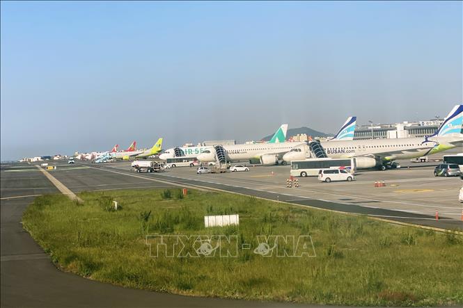 Trong ảnh: Máy bay của các hãng hàng không Hàn Quốc tại Sân bay Quốc tế Jeju. Ảnh: Anh Nguyên-PV TTXVN tại Hàn Quốc