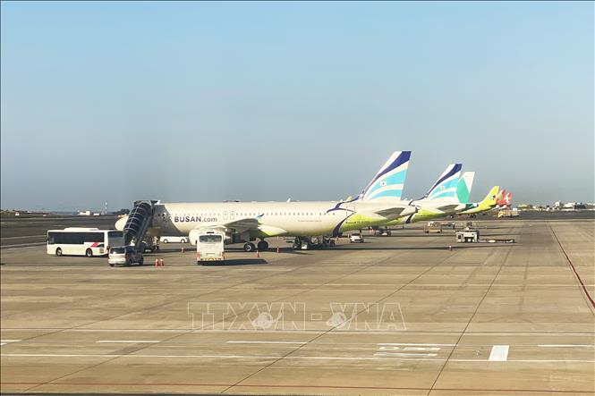 Trong ảnh: Máy bay của hãng hàng không Busan (Hàn Quốc) đang trả khách tại Sân bay Quốc tế Jeju. Ảnh: Anh Nguyên-PV TTXVN tại Hàn Quốc