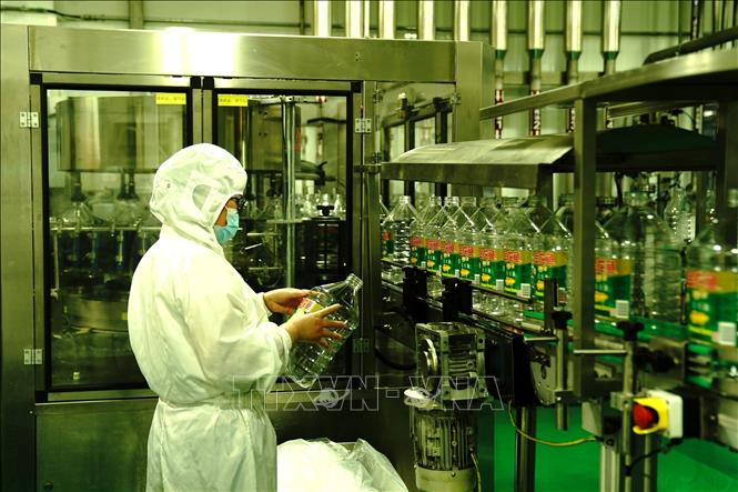 Trong ảnh: Công nhân làm việc tại dây chuyền sản xuất dầu ăn của Công ty Shanghai Kerry Food ở Thượng Hải, Trung Quốc ngày 22/4/2022. Ảnh: THX/TTXVN