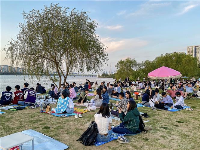 Trong ảnh: Công viên Sông Hàn luôn là điểm đến lý tưởng của giới trẻ Seoul khi thời tiết ấm lên. Ảnh: Anh Nguyên-PV TTXVN tại Hàn Quốc
