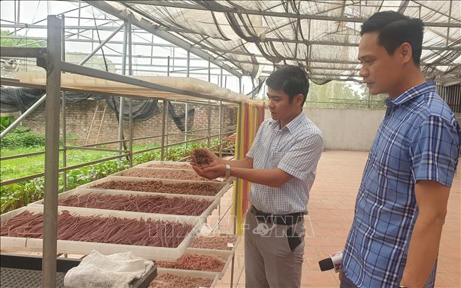 Anh Lê Văn Tám ( phía bên trái) Gíam đốc HTX Nông nghiệp Sông Hồng giới thiệu sản phẩm làm từ rau củ. Ảnh: Phương Anh - TTXVN
