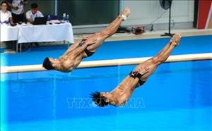 Môn nhảy cầu SEA Games 31: Nhảy cầu mềm nam